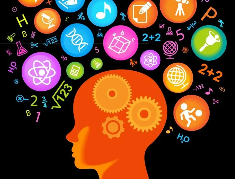 brain